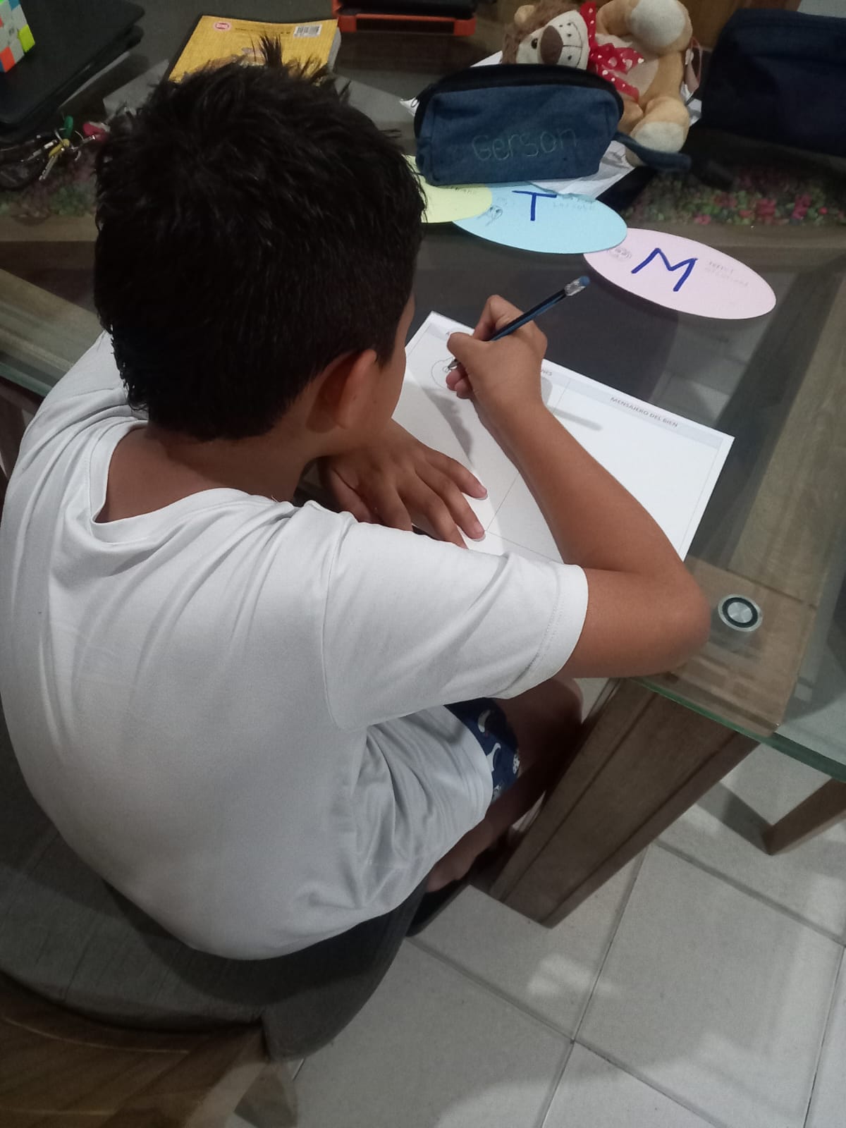 WhatsApp_Image_2025-07-22_at_11.50.25_AM